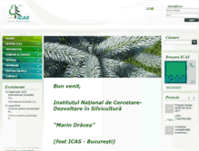 Tablet Screenshot of icas.ro